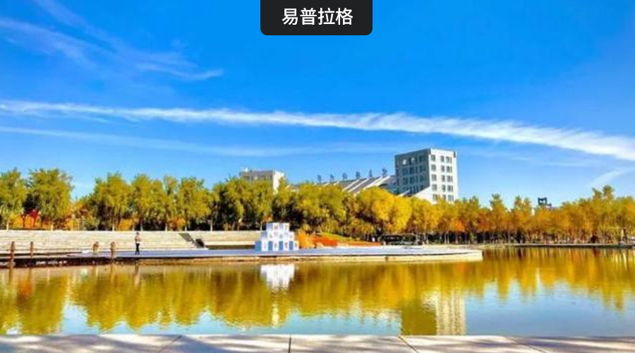 211名校-宁夏大学科研管理系统项目启动